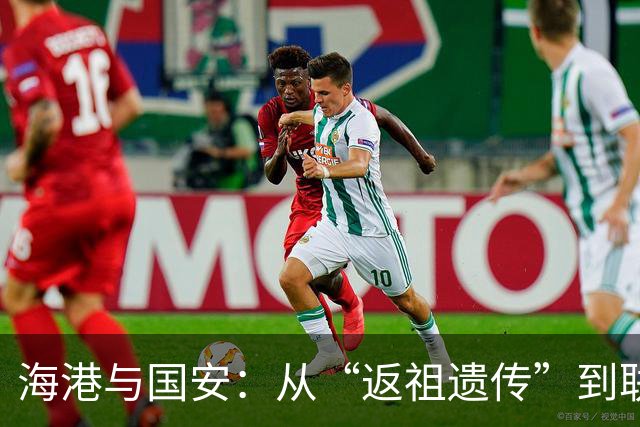 海港与国安：从“返祖遗传”到联赛王者的逆袭之旅
